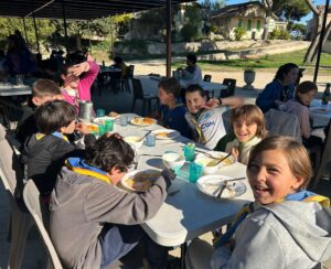 La couronne – Novembre   2025 WE hybride